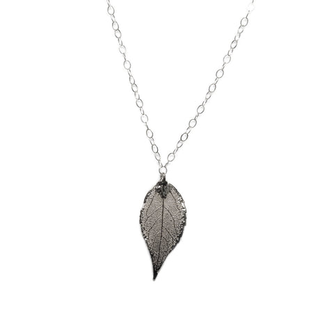 Golden Goldie ~ Evergreen Leaf