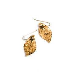 Golden Goldie ~ Evergreen