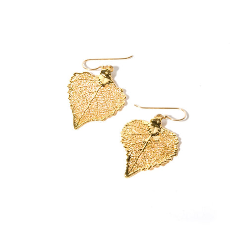 Golden Goldie ~ Cottonwood