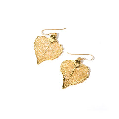 Golden Goldie ~ Cottonwood
