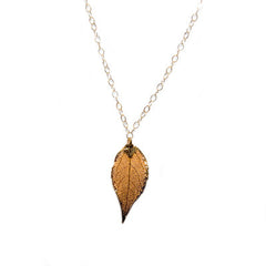 Golden Goldie ~ Evergreen Leaf