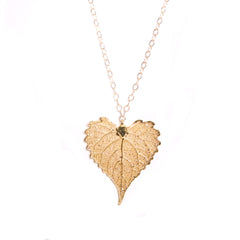 Golden Goldie ~ Cottonwood Leaf