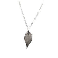 Golden Goldie ~ Evergreen Leaf